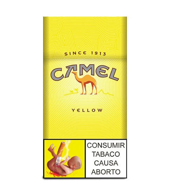 CAMEL BOX 12